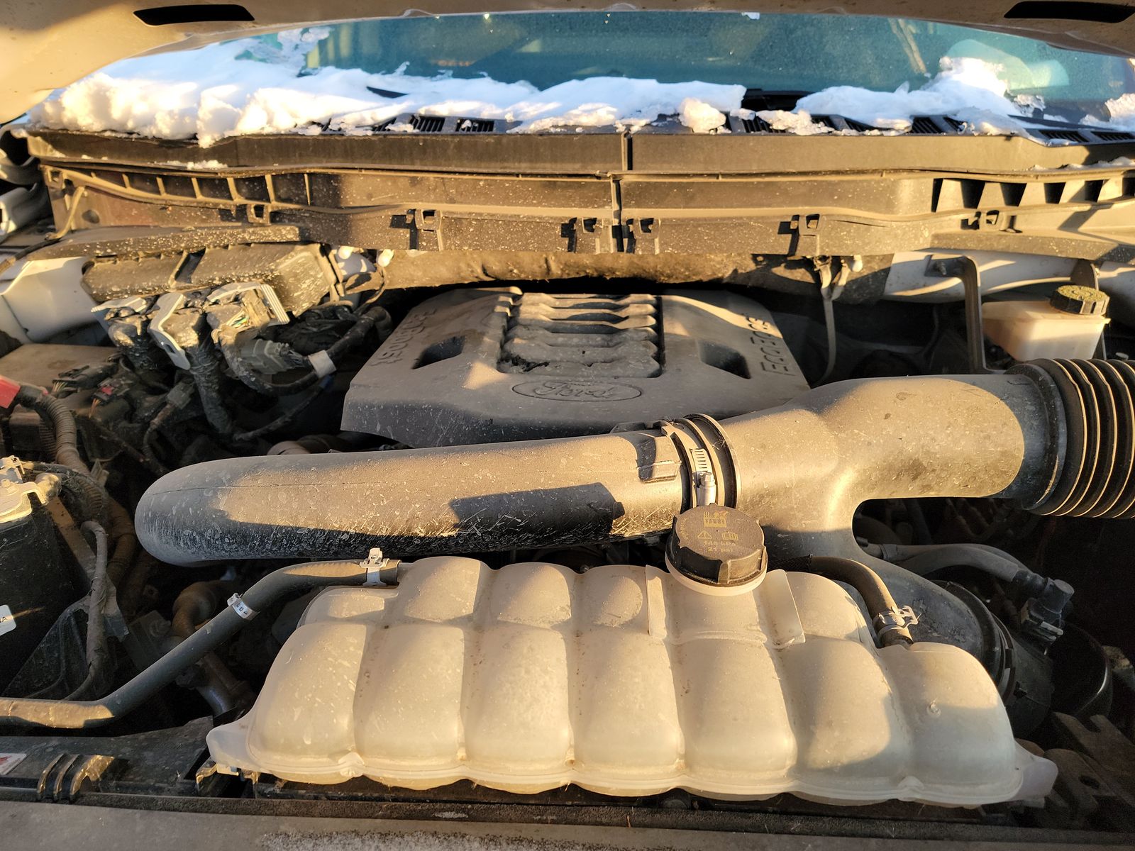 2023 Ford F-150 Tremor AWD