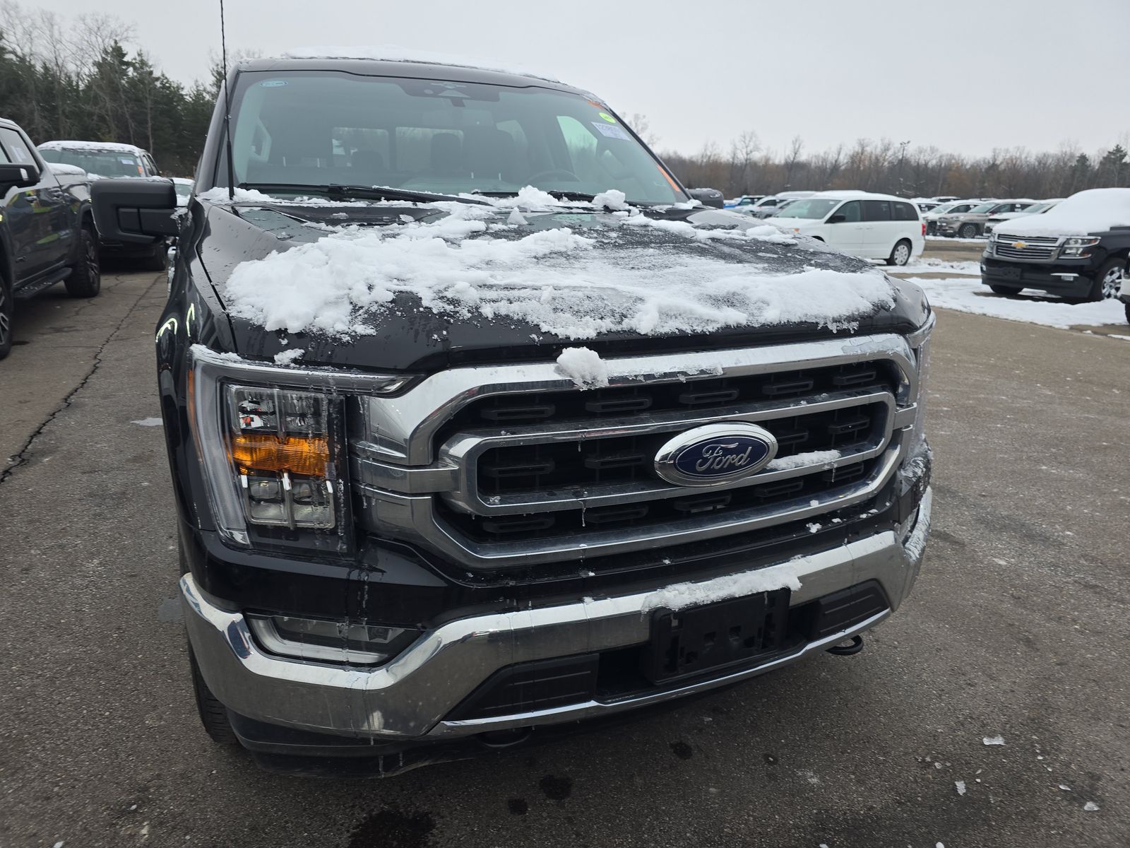 2023 Ford F-150 XLT AWD