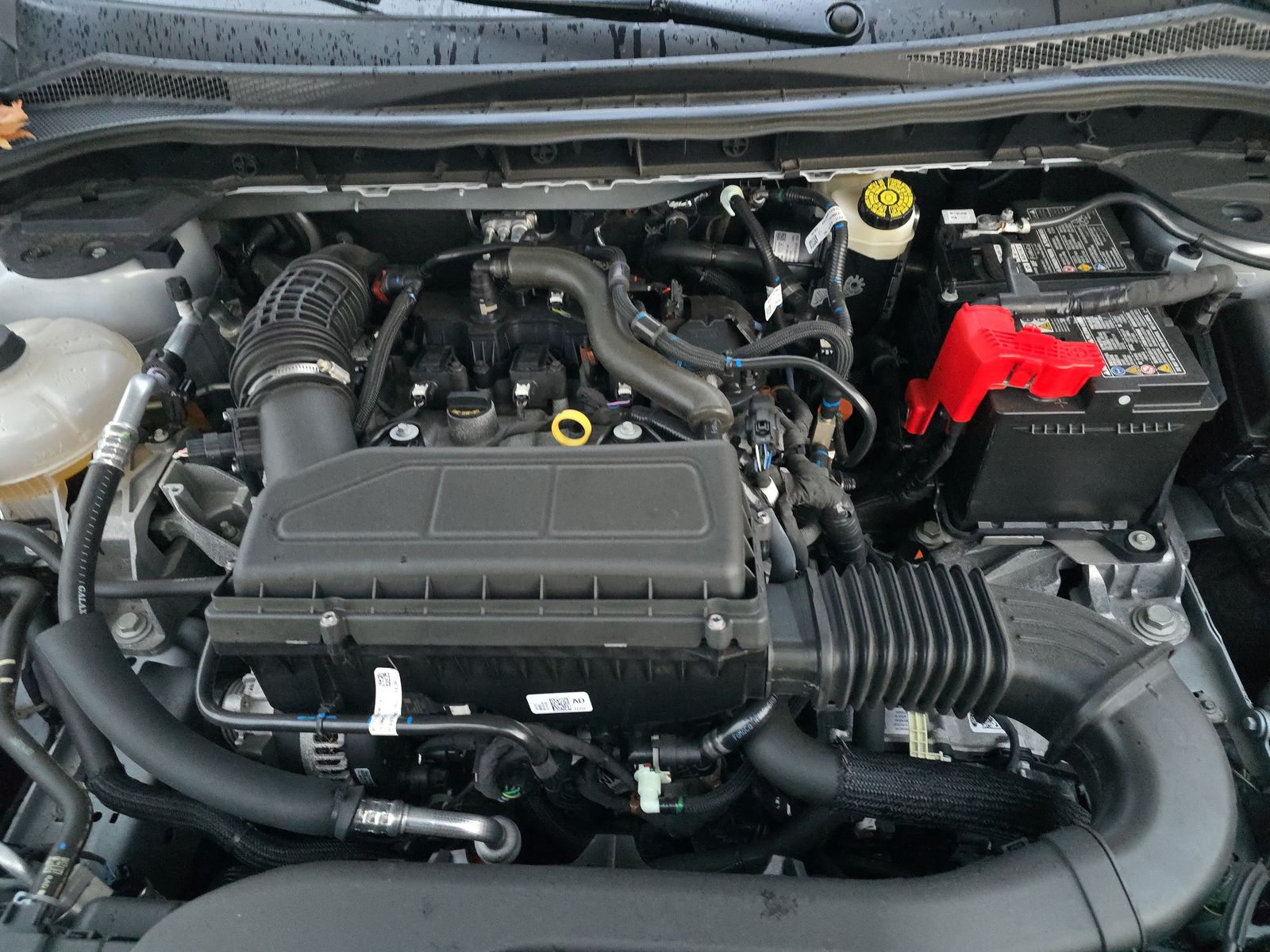 2025 Ford Escape ST-Line FWD