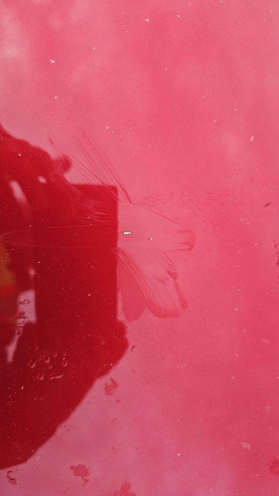 2023 Honda Accord Hybrid Touring FWD