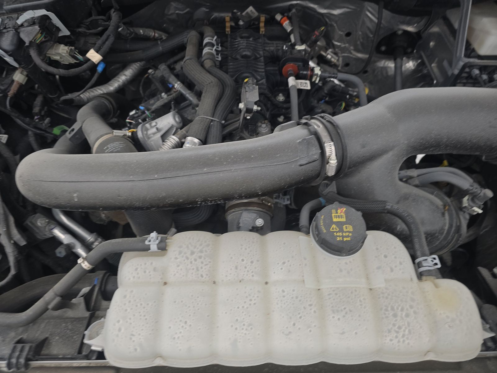 2024 Ford F-150 XLT AWD