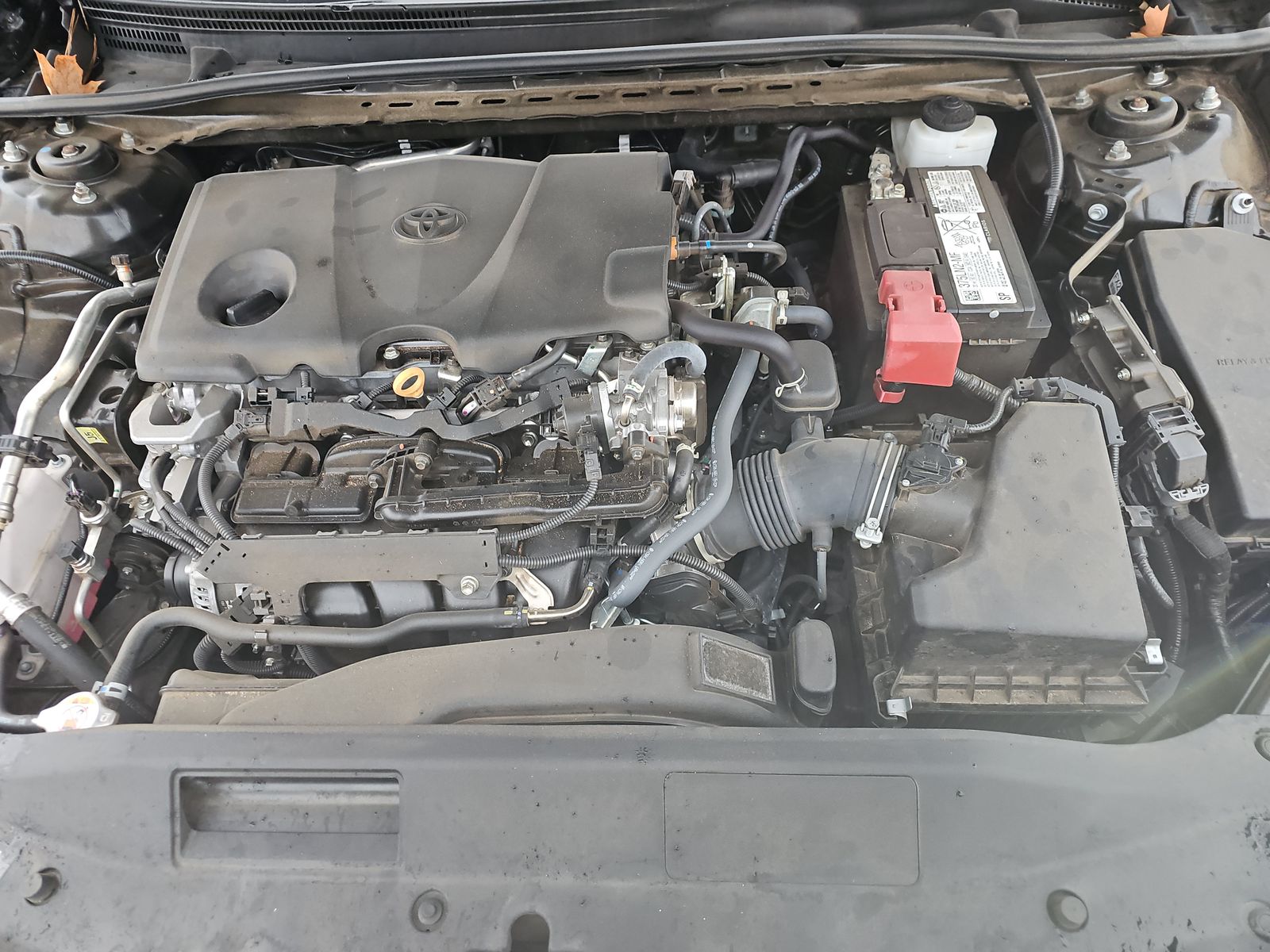 2024 Toyota Camry XSE FWD