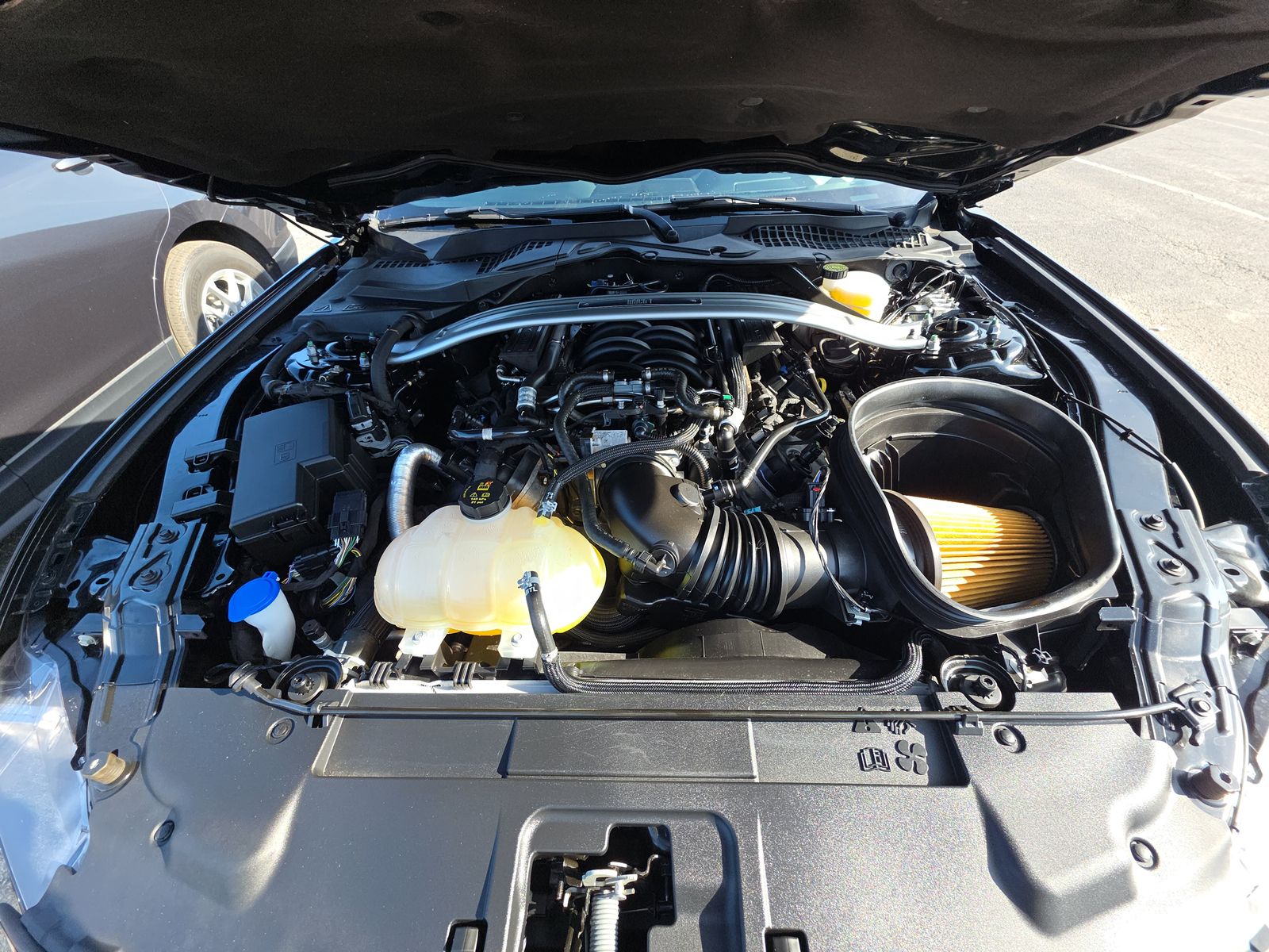 2022 Ford Mustang Mach 1 RWD