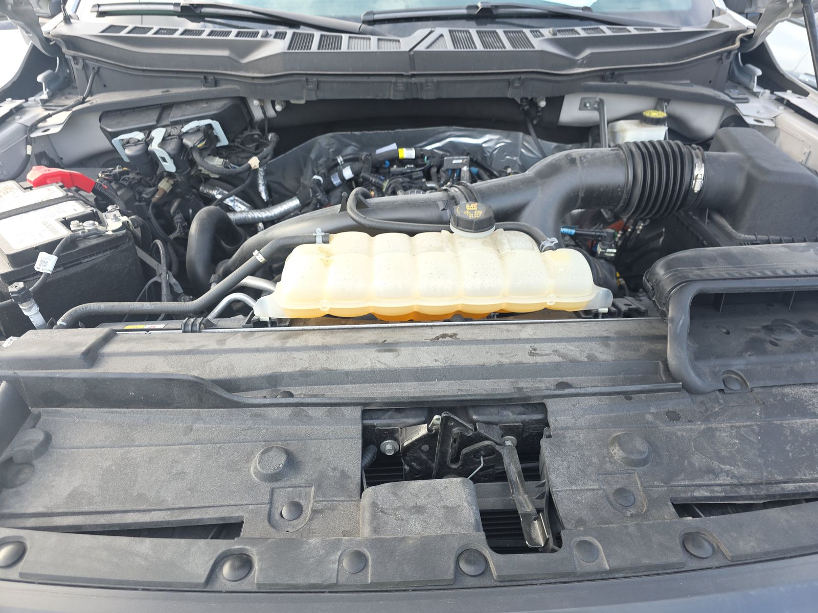 2023 Ford F-150 XLT RWD