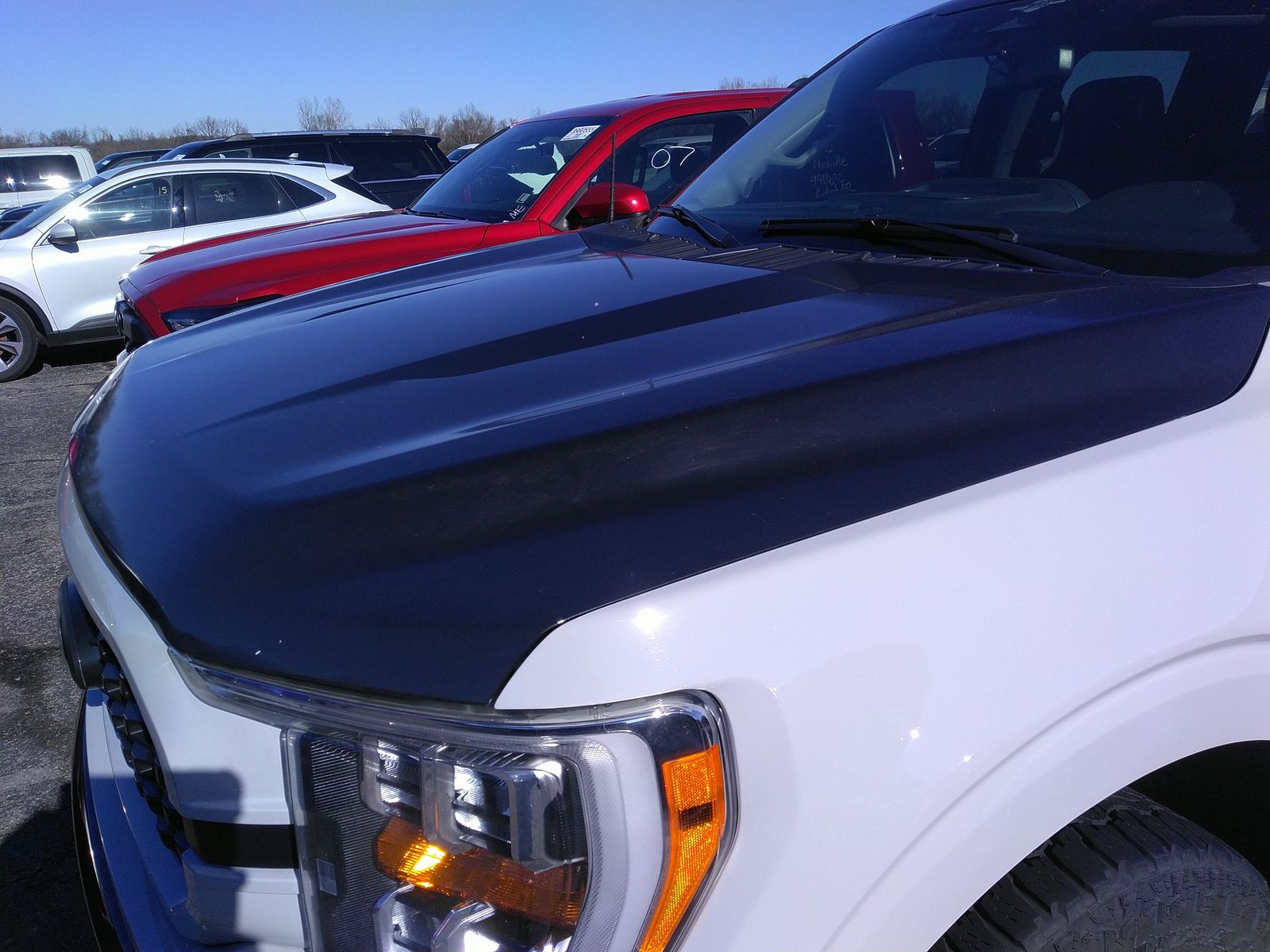 2023 Ford F-150 XLT AWD