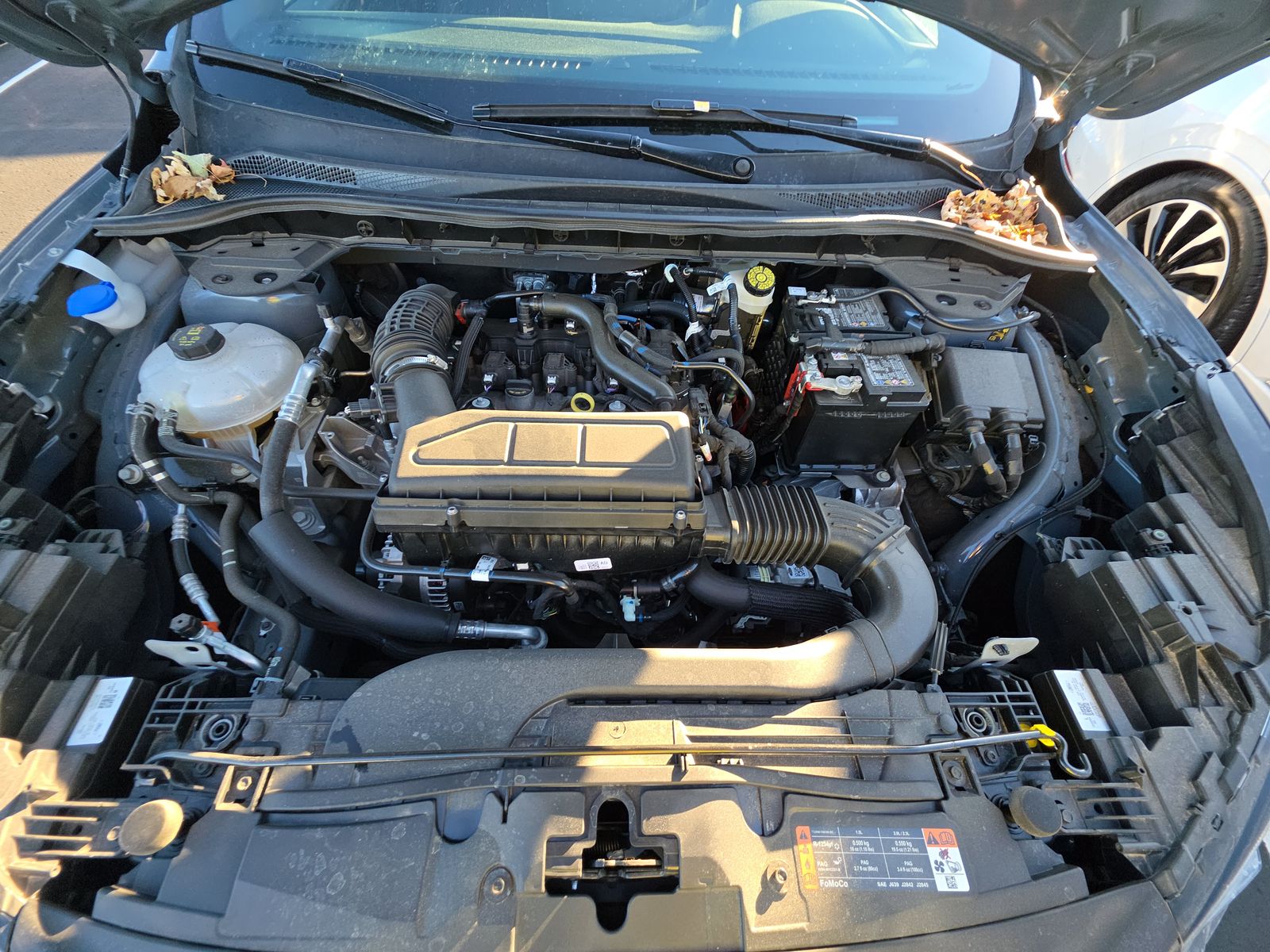 2025 Ford Escape ST-Line FWD