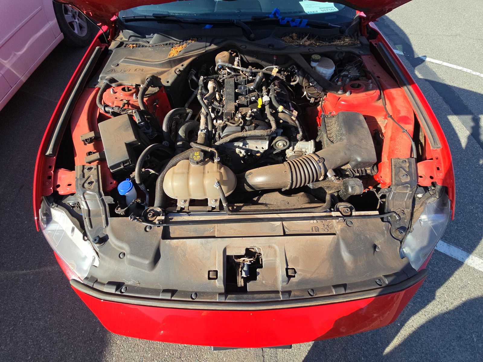 2023 Ford Mustang EcoBoost Premium RWD