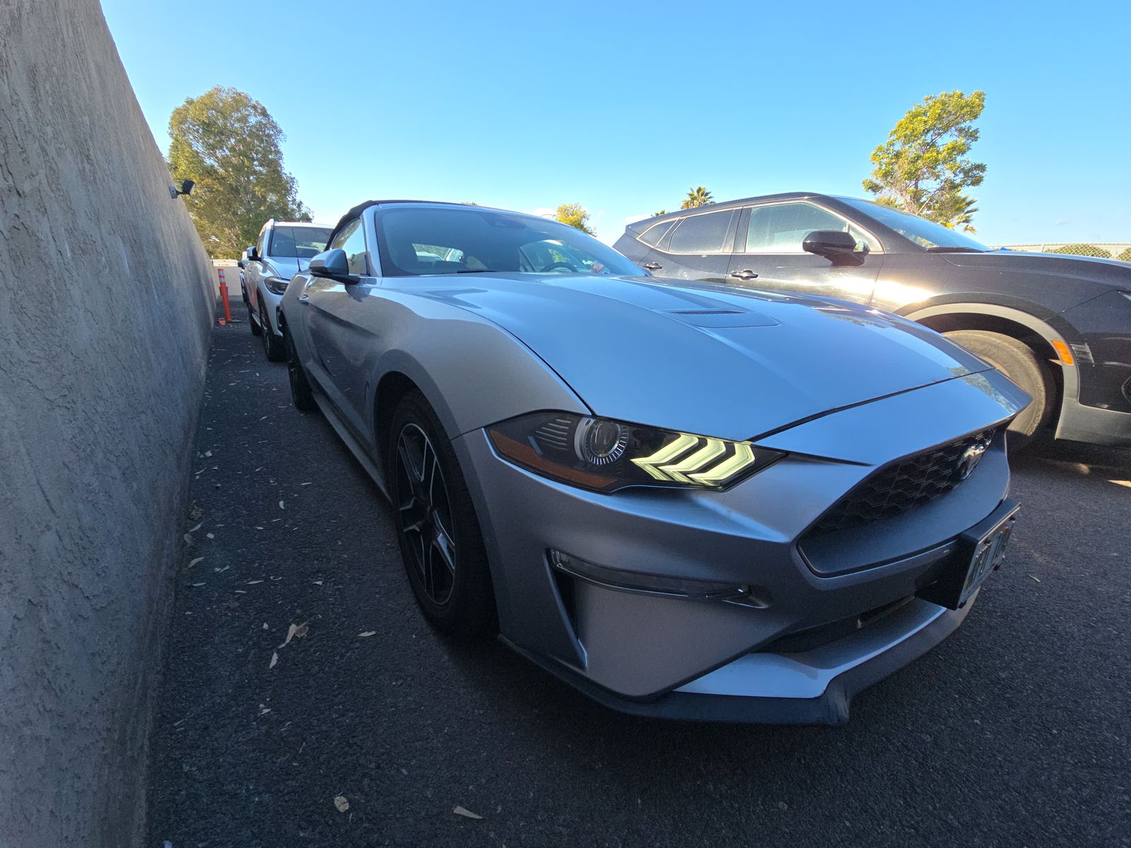 2023 Ford Mustang EcoBoost Premium RWD