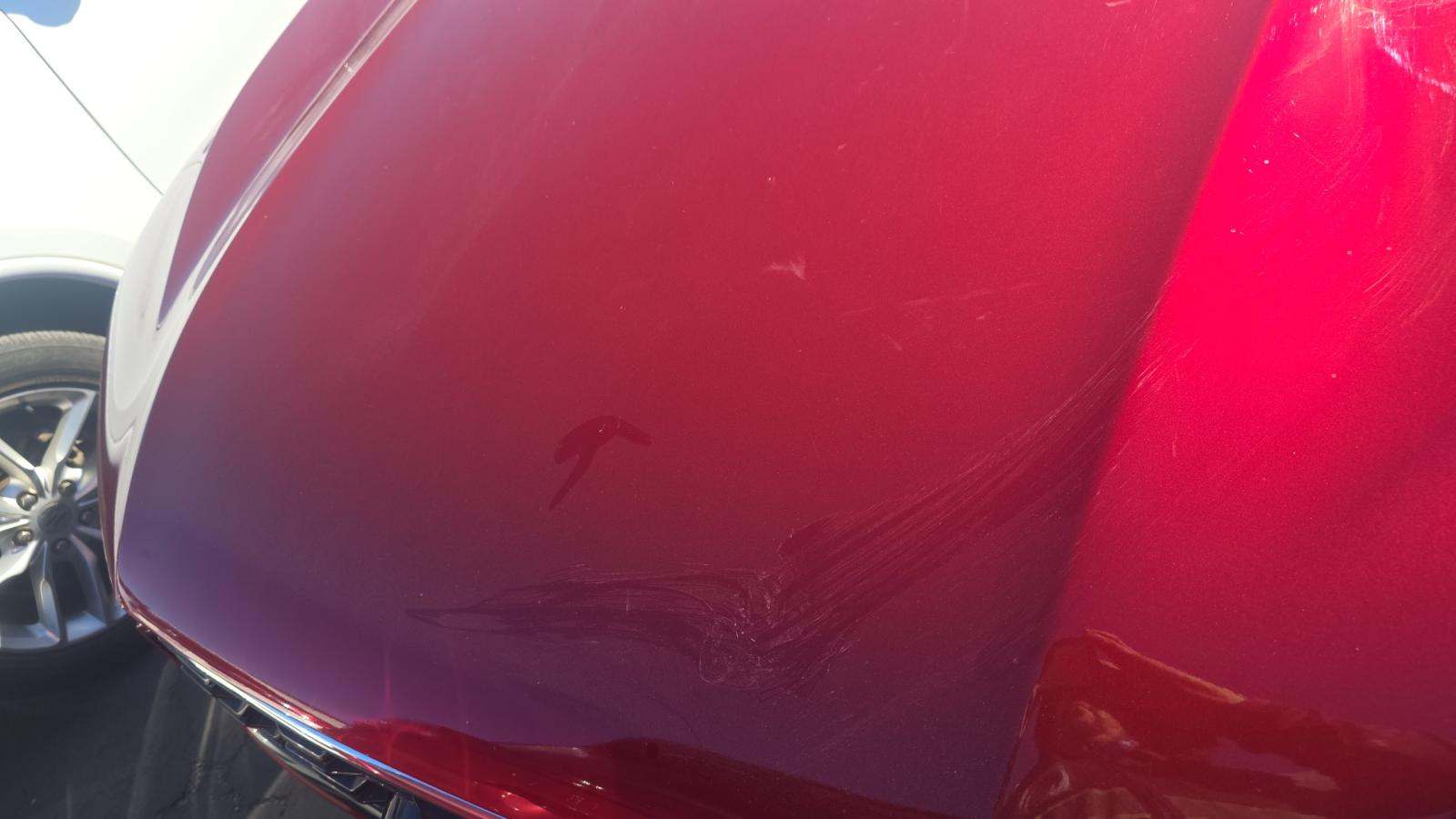 2025 Ford Escape ST-Line FWD