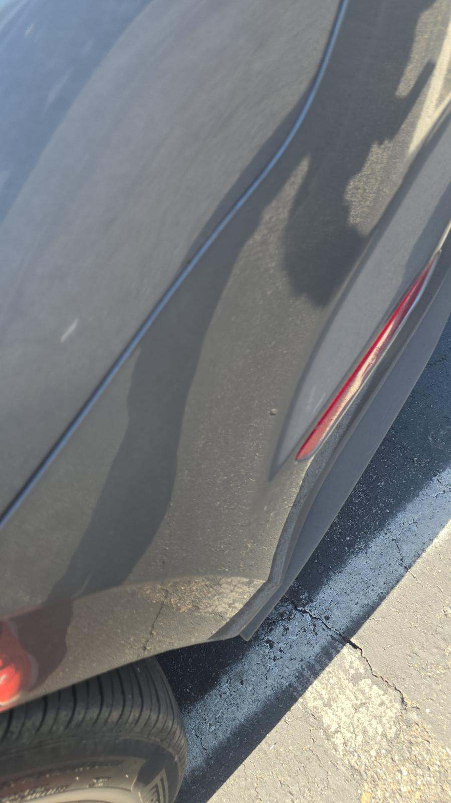 2023 Ford Mustang EcoBoost Premium RWD