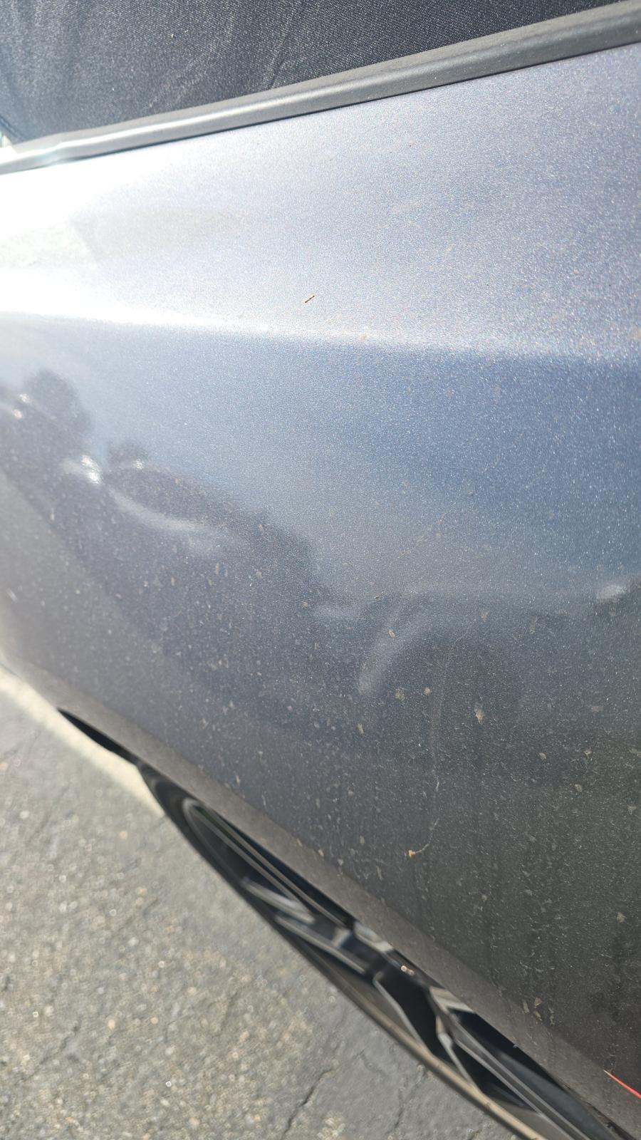 2023 Ford Mustang EcoBoost Premium RWD