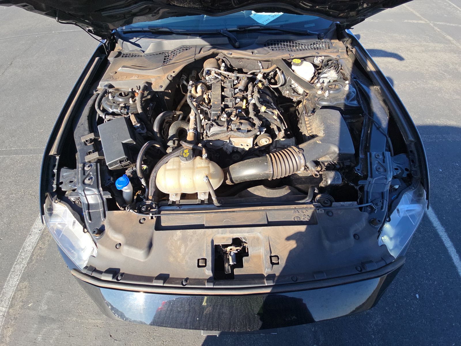 2023 Ford Mustang EcoBoost Premium RWD