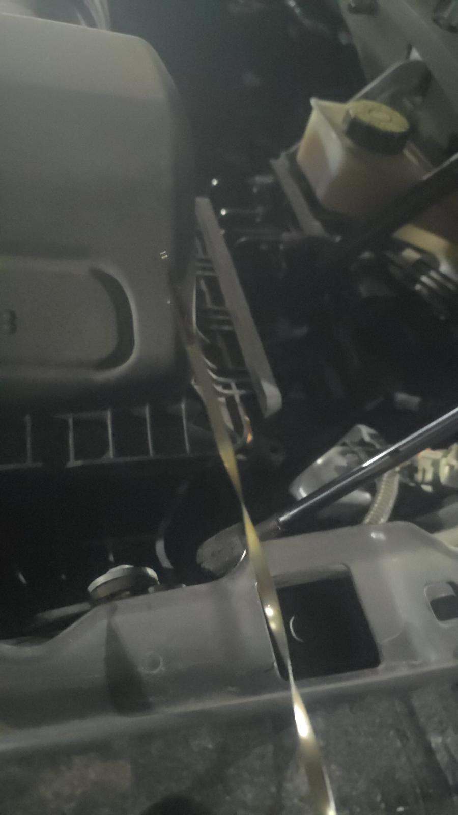 2023 Ford F-150 XL RWD