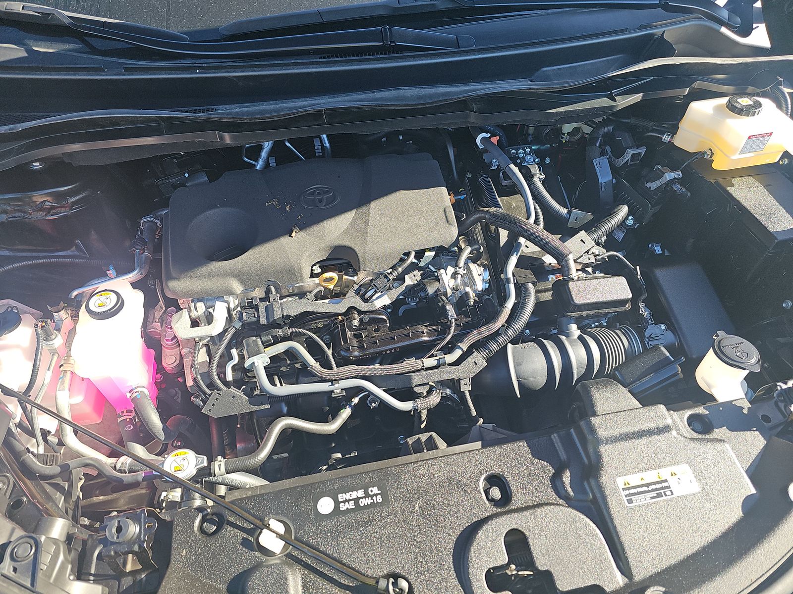 2023 Toyota Sienna Platinum FWD