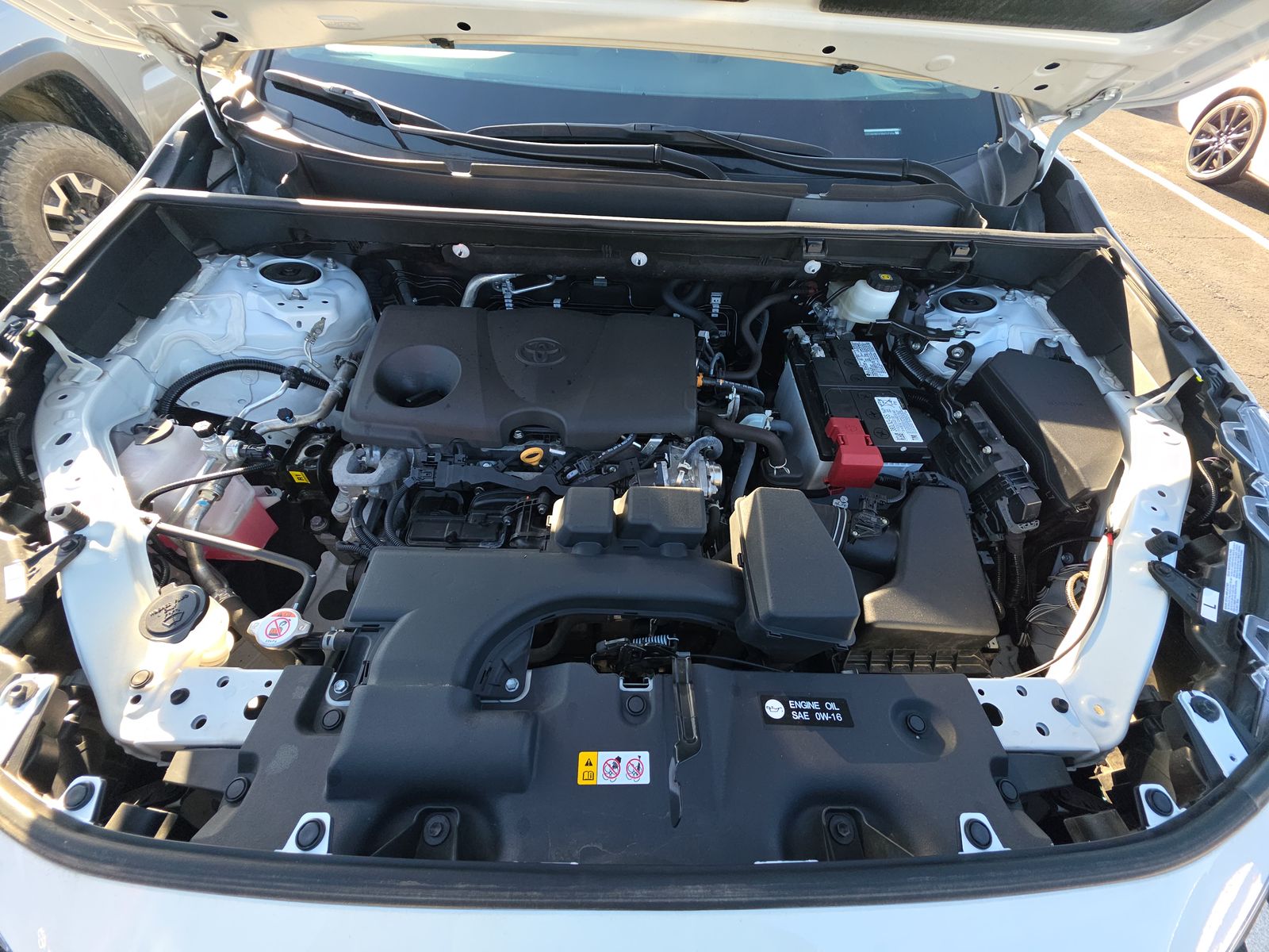 2024 Toyota RAV4 LE FWD