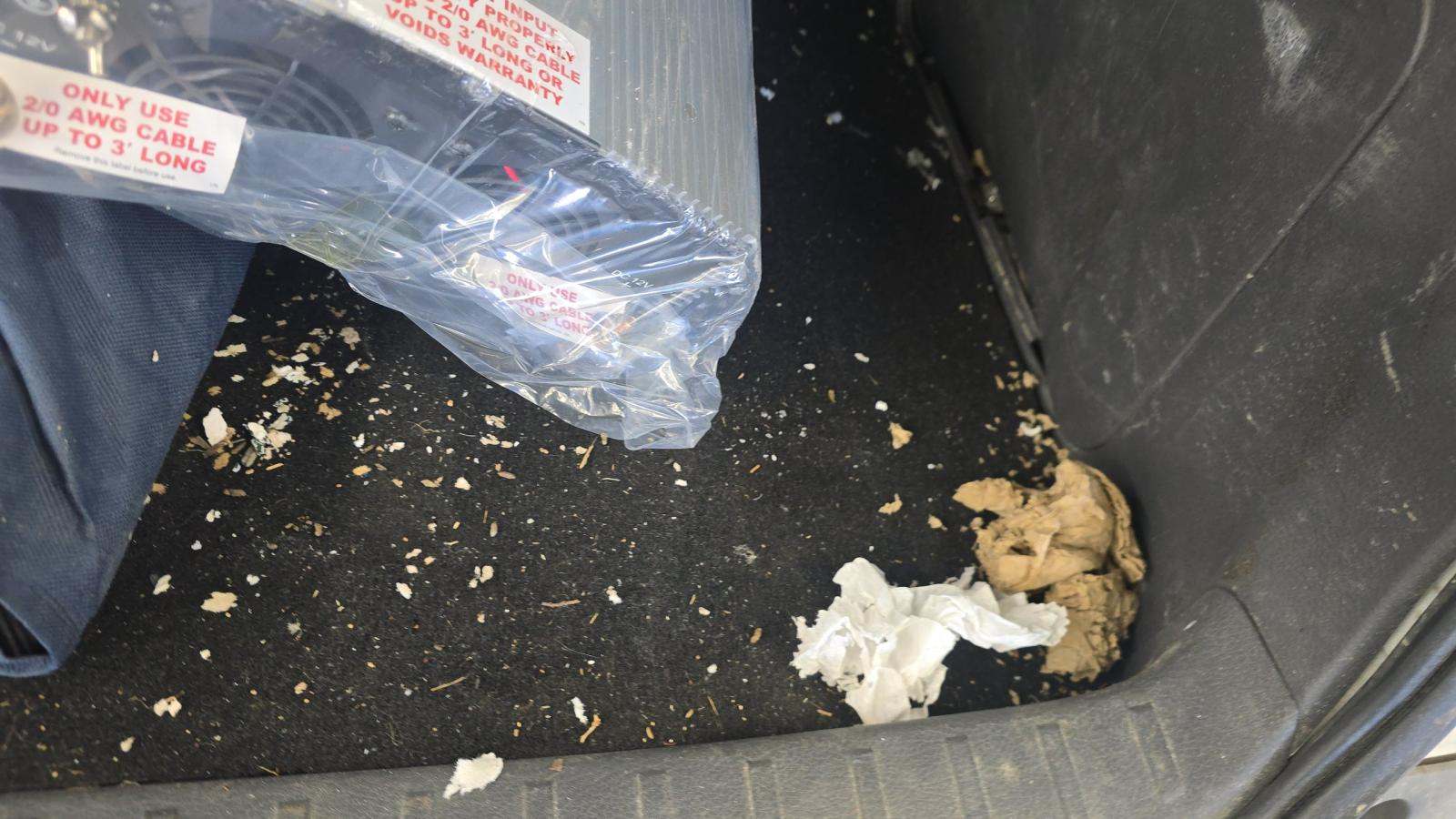 2023 Toyota Sienna XLE FWD