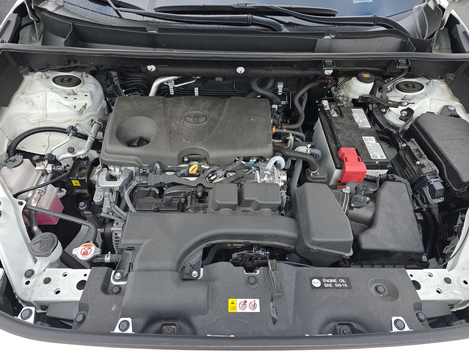 2024 Toyota RAV4 XLE FWD