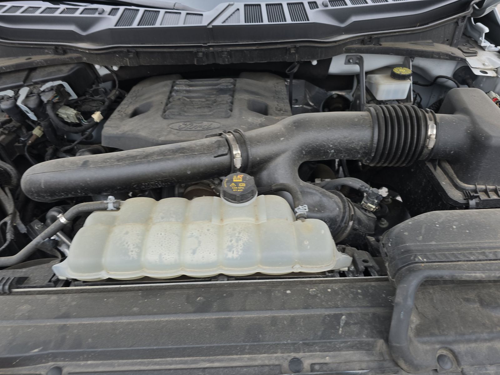 2023 Ford F-150 XLT RWD