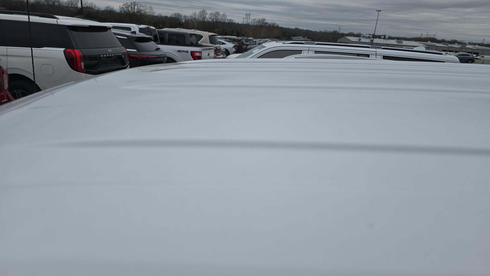 2023 Ford F-150 XLT RWD