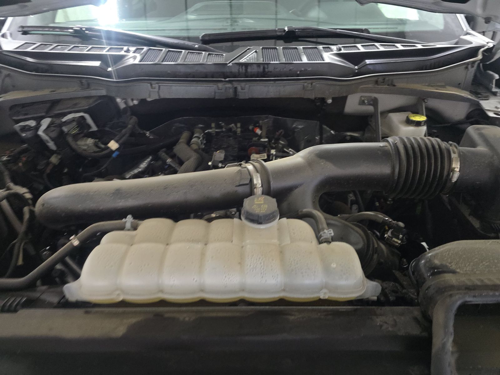 2025 Ford F-150 XLT AWD