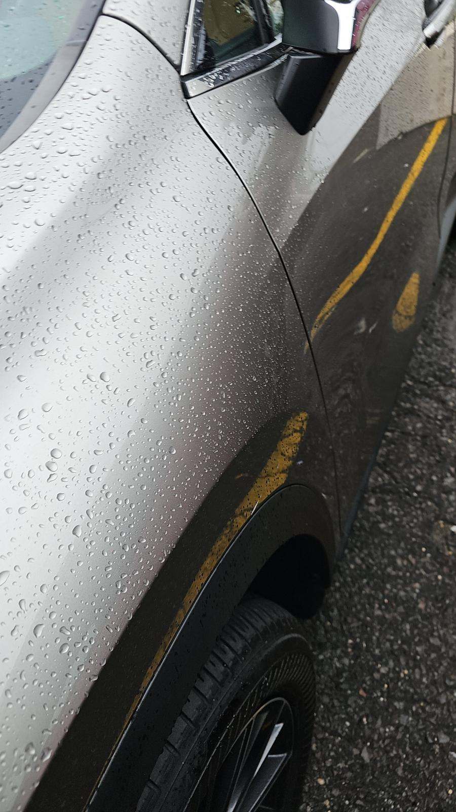 2024 Lexus NX NX 350 AWD