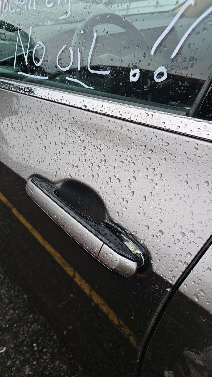 2024 Lexus NX NX 350 AWD