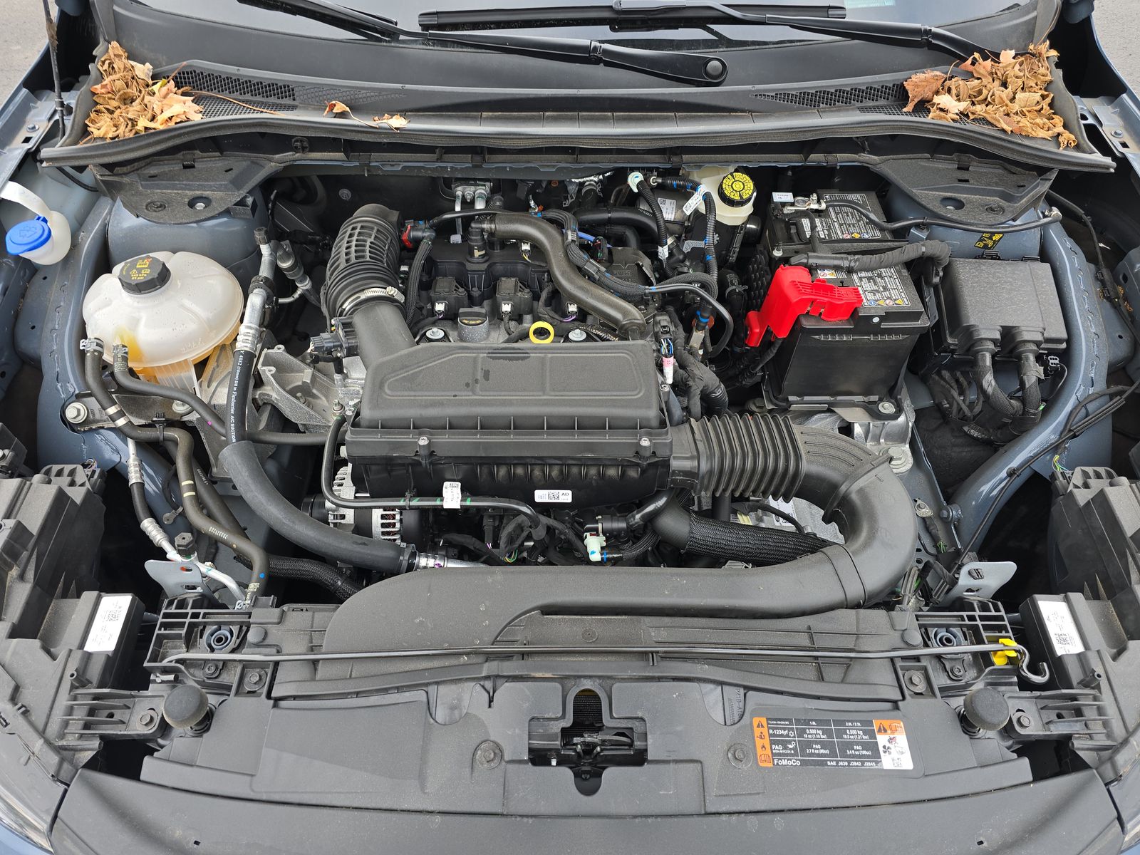 2025 Ford Escape ST-Line FWD