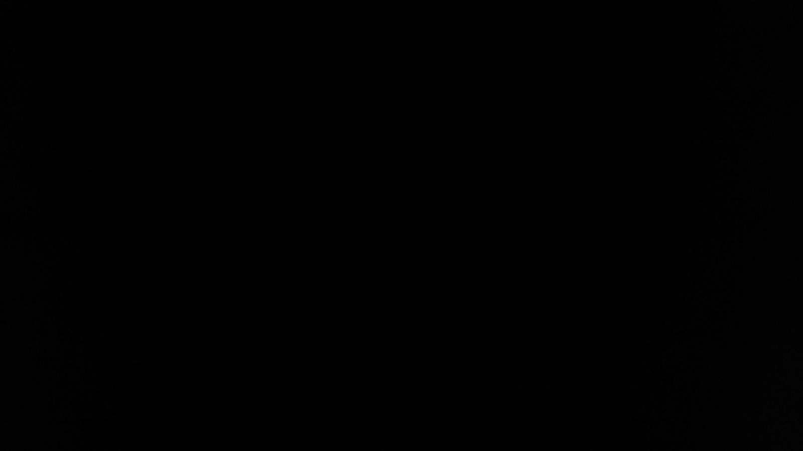 2024 Land Rover Defender 110 S AWD