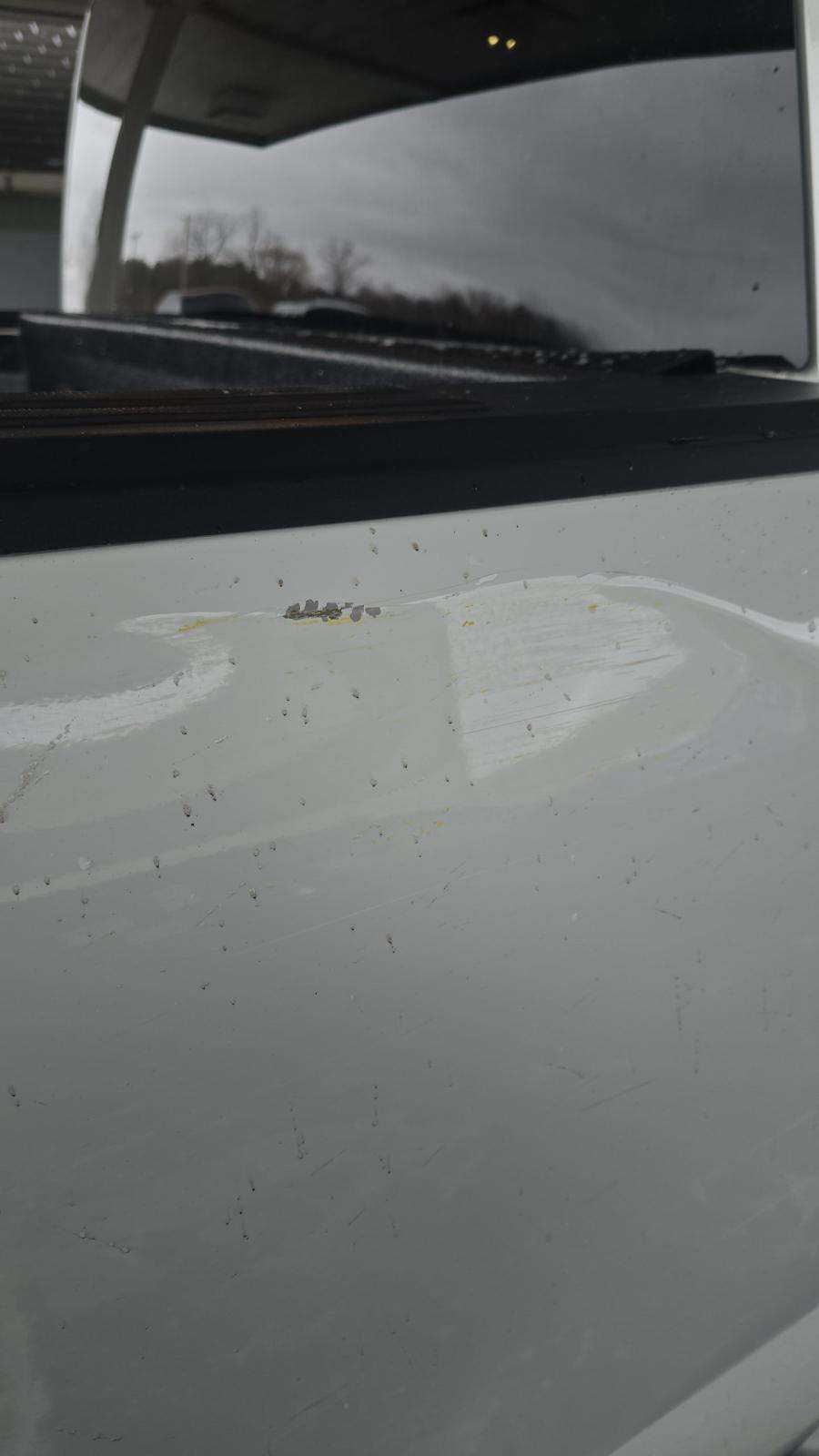 2024 Ford F-150 XLT AWD