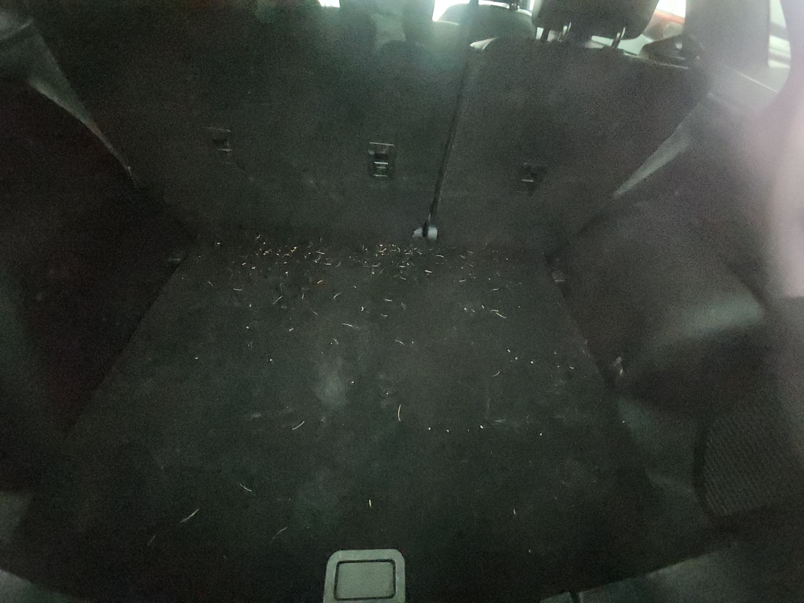 2025 Ford Escape ST-Line AWD