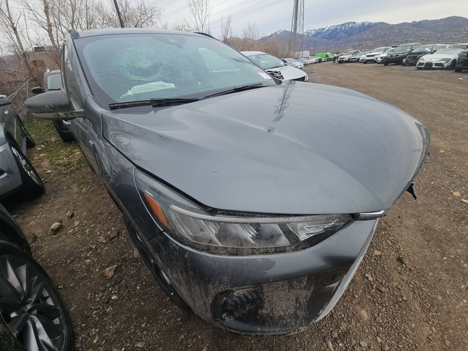 2025 Ford Escape ST-Line AWD