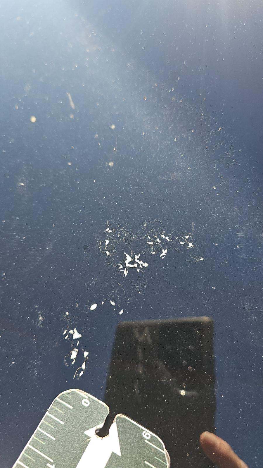 2023 Dodge Challenger R/T RWD