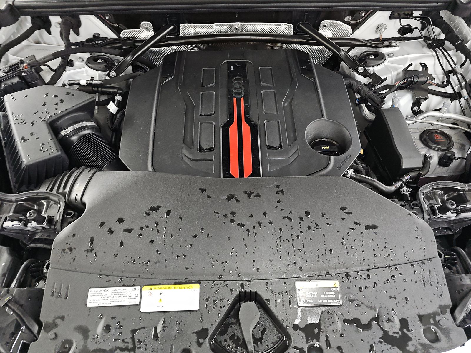 2025 Audi SQ5 Premium Plus AWD