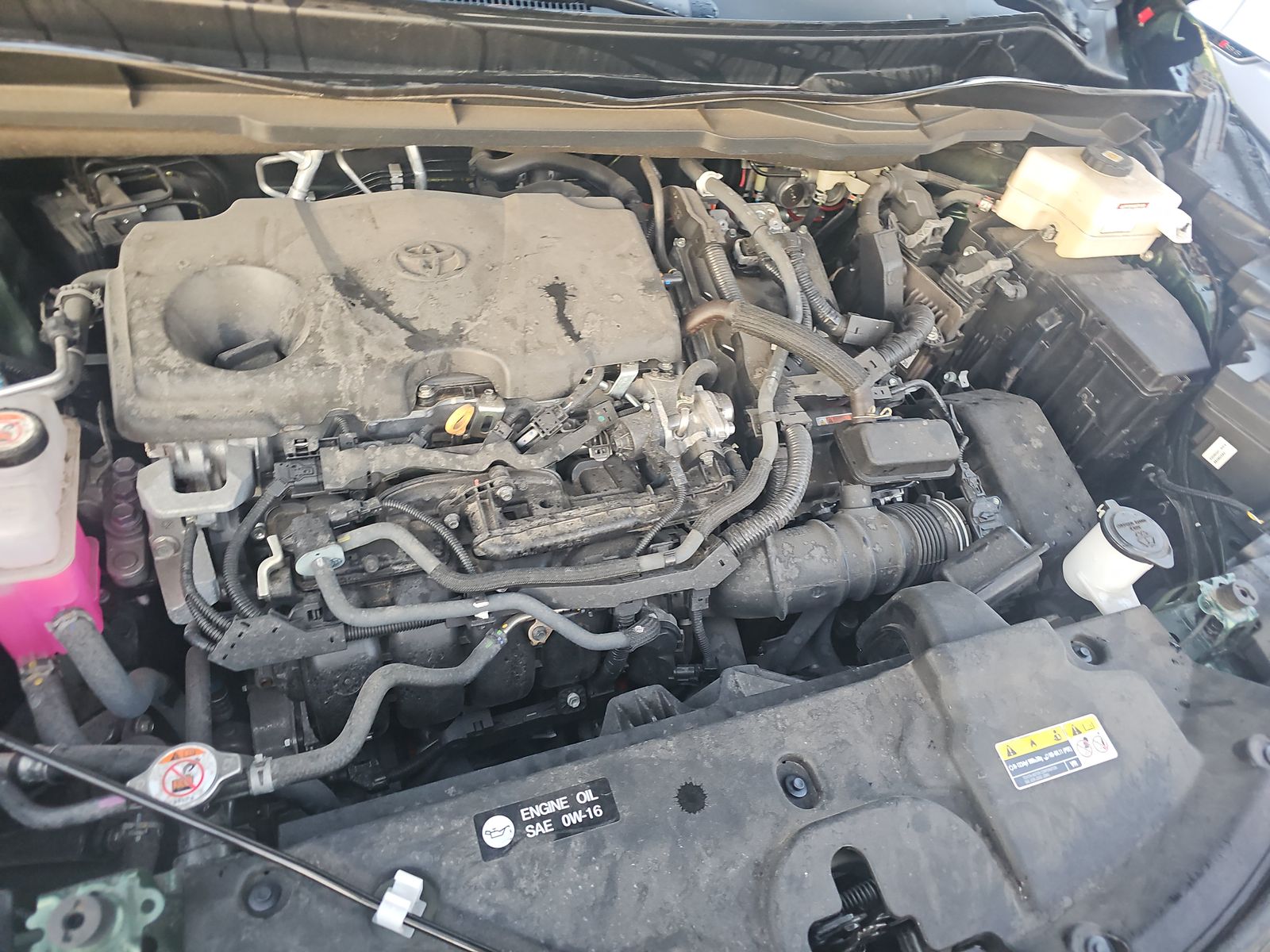 2024 Toyota Sienna LE FWD