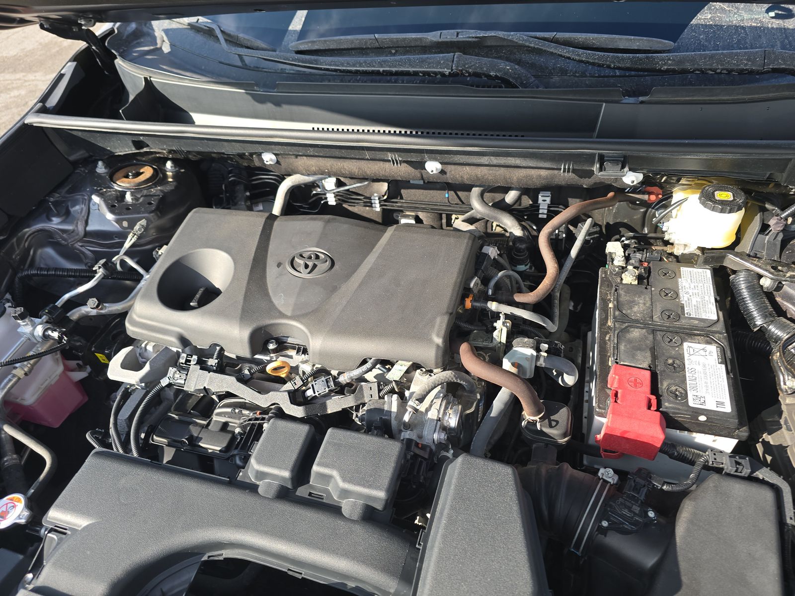 2024 Toyota RAV4 XLE FWD