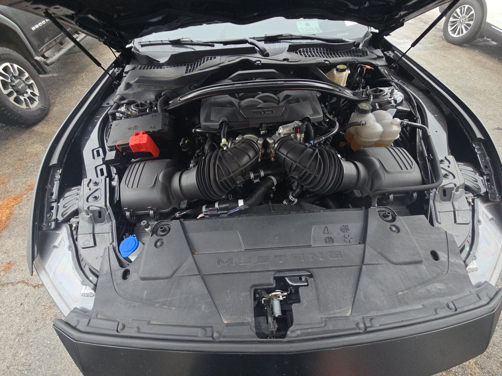 2024 Ford Mustang Dark Horse RWD