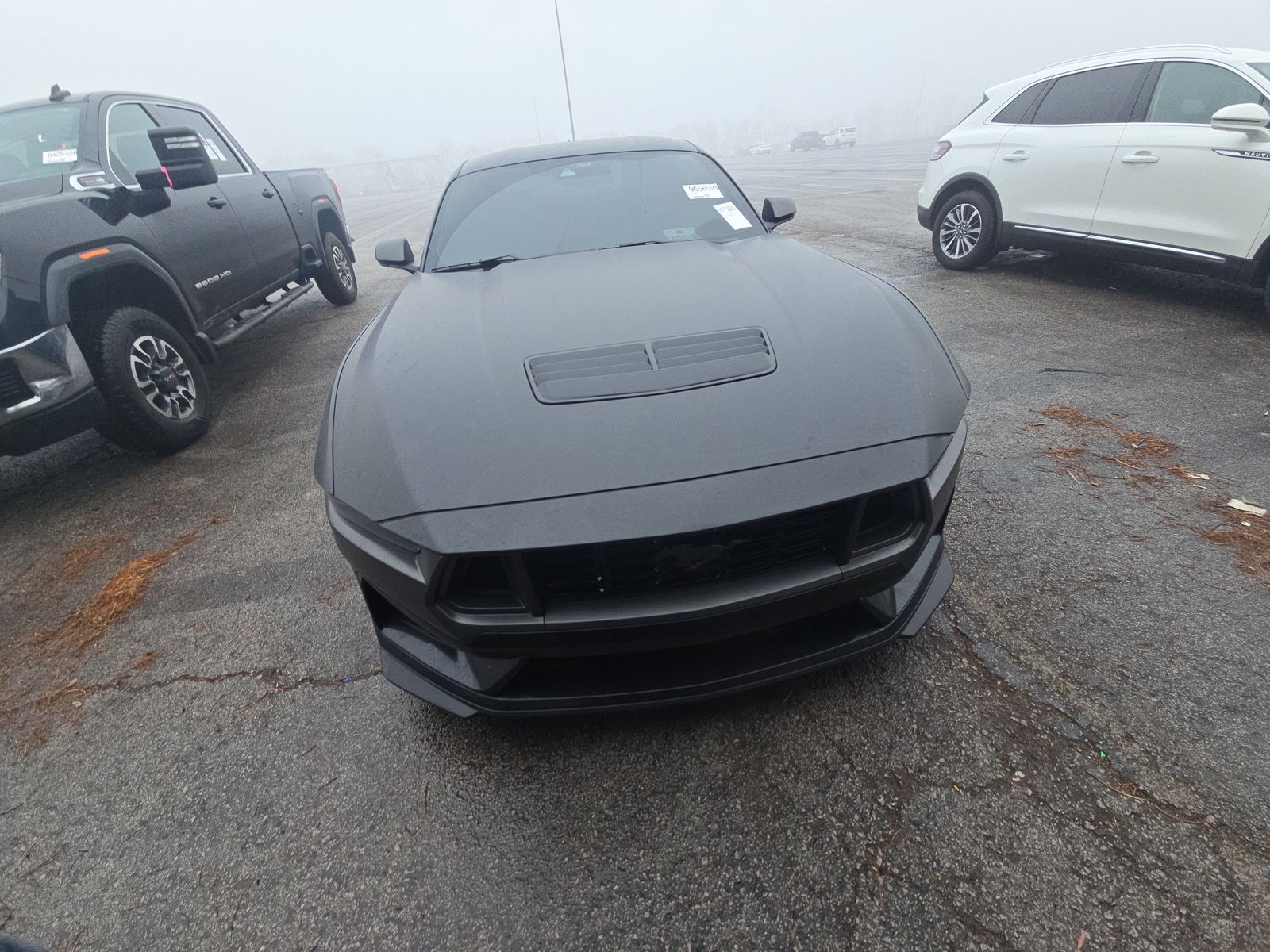 2024 Ford Mustang Dark Horse RWD