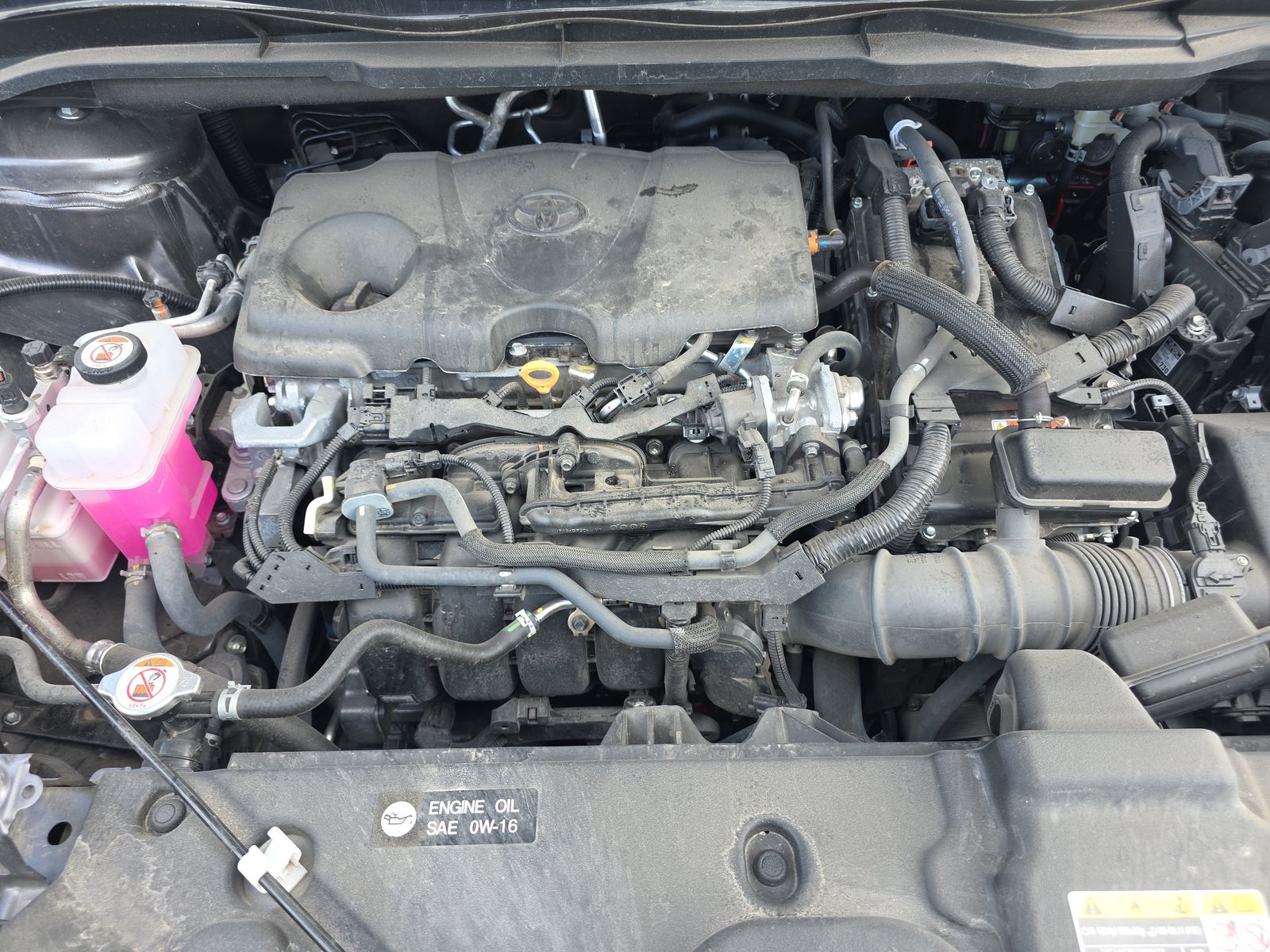 2024 Toyota Sienna LE FWD