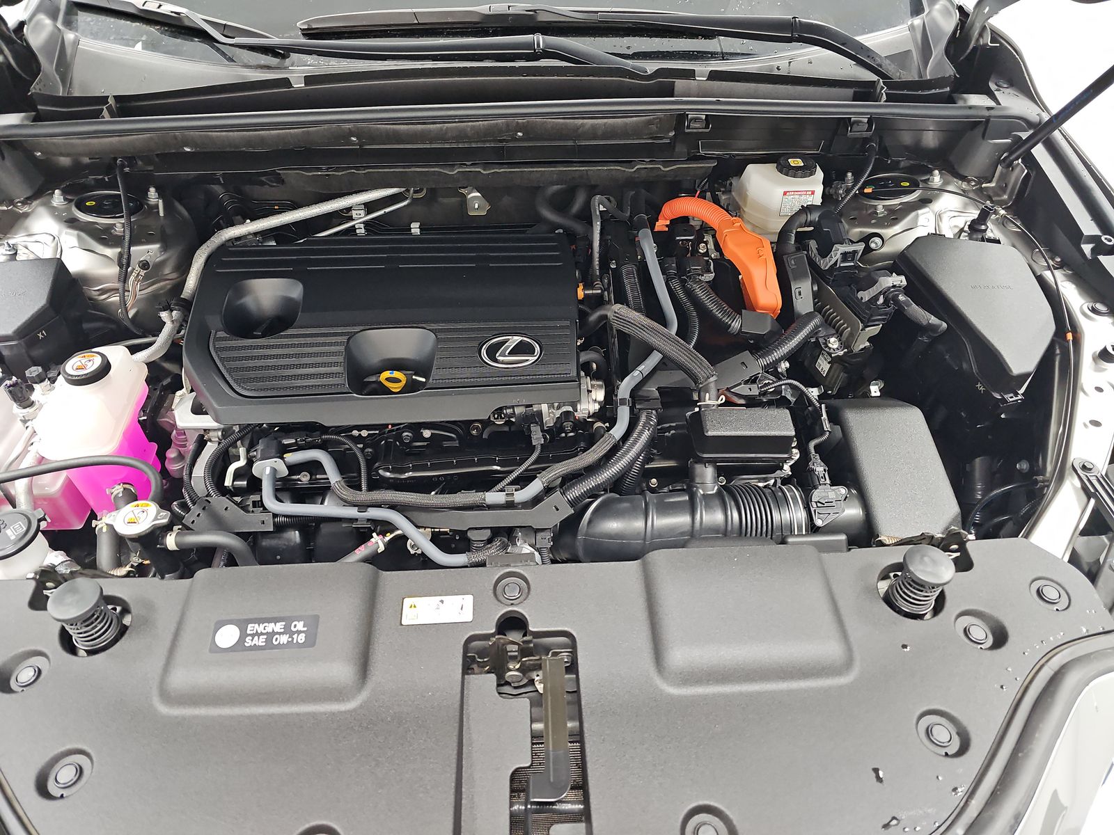 2024 Lexus NX NX 350h AWD