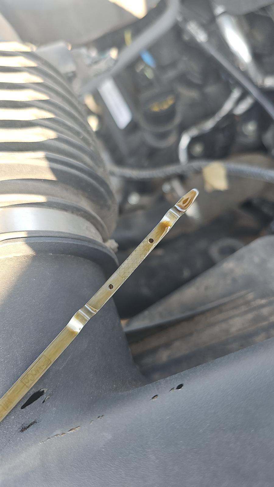 2023 Ford F-150 XLT RWD