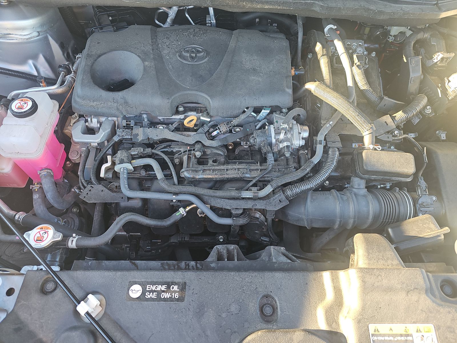 2024 Toyota Sienna LE FWD