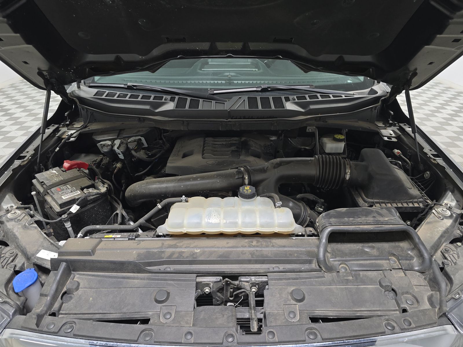 2023 Ford F-150 XLT RWD