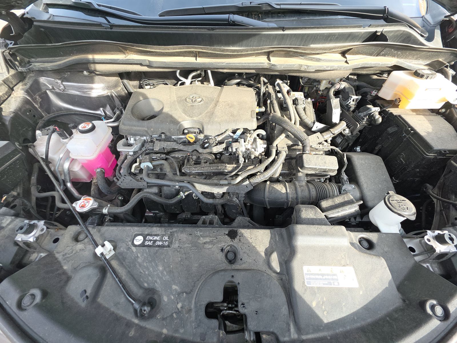 2024 Toyota Sienna LE FWD