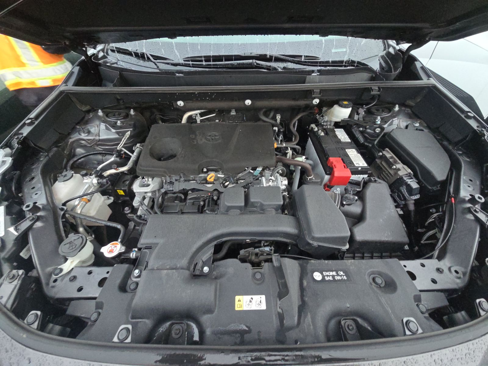 2024 Toyota RAV4 LE FWD