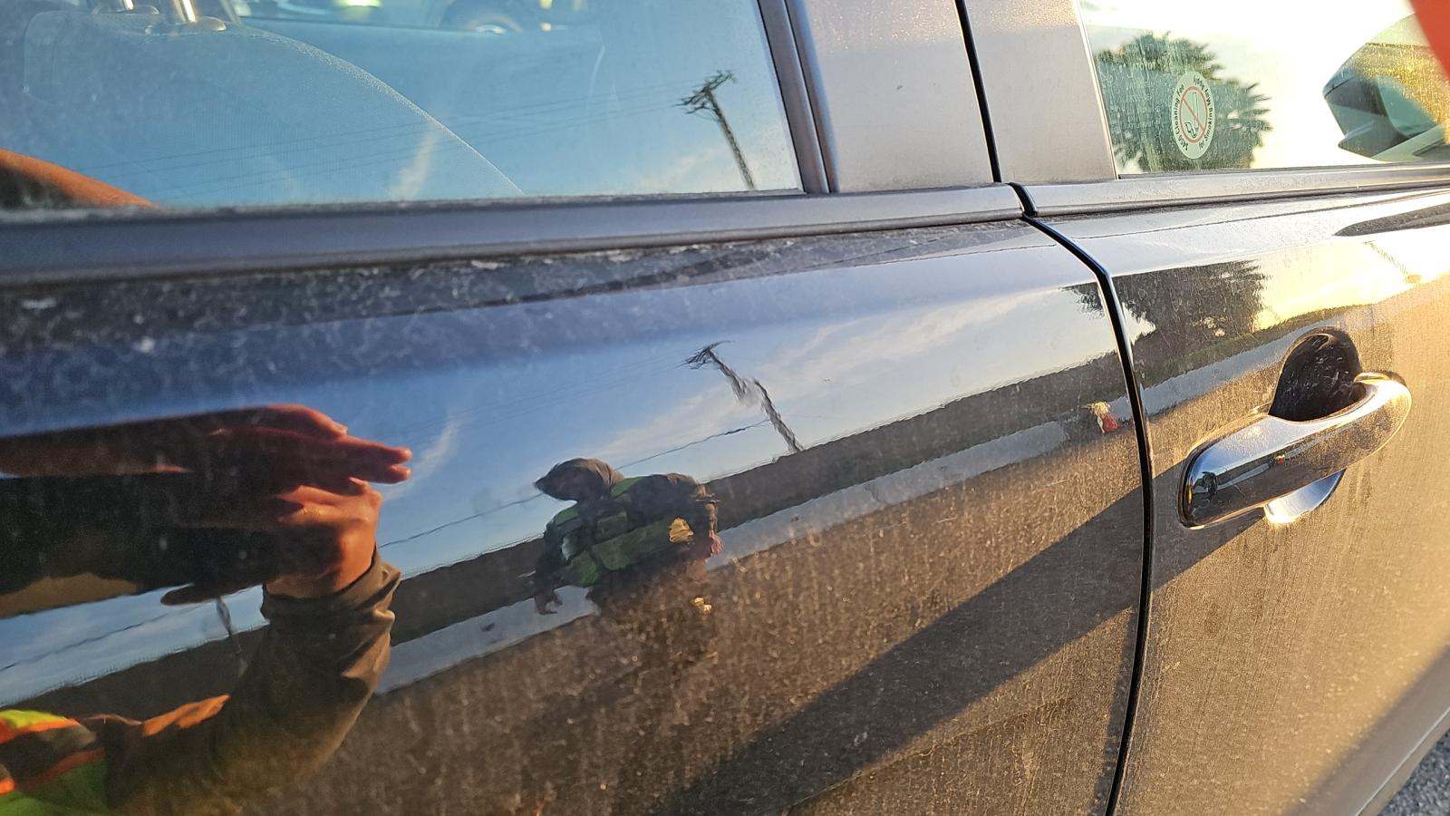 2024 Toyota Prius LE FWD