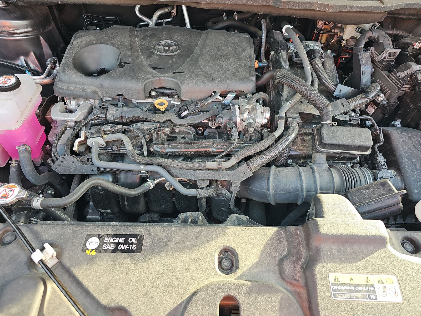 2024 Toyota Sienna LE FWD