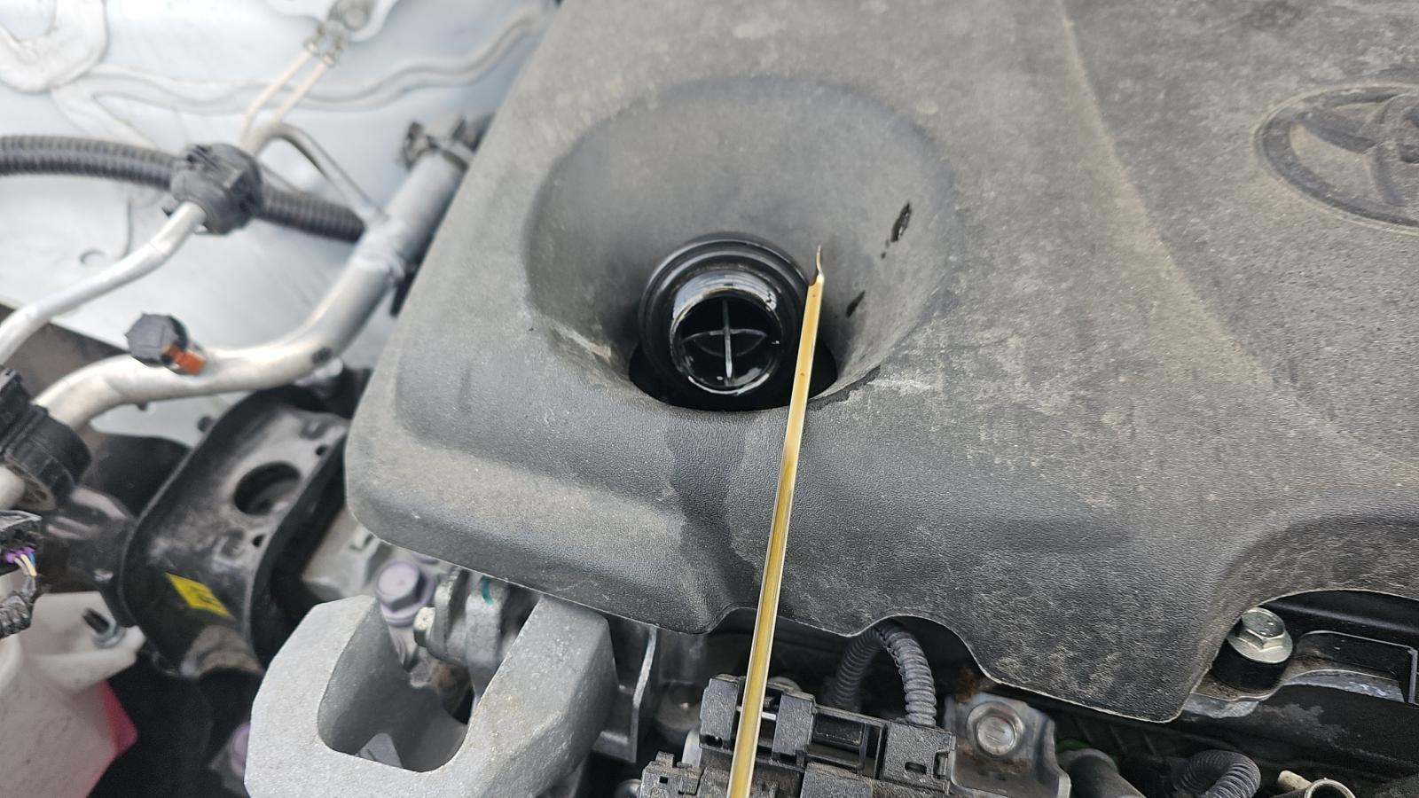 2024 Toyota RAV4 LE AWD