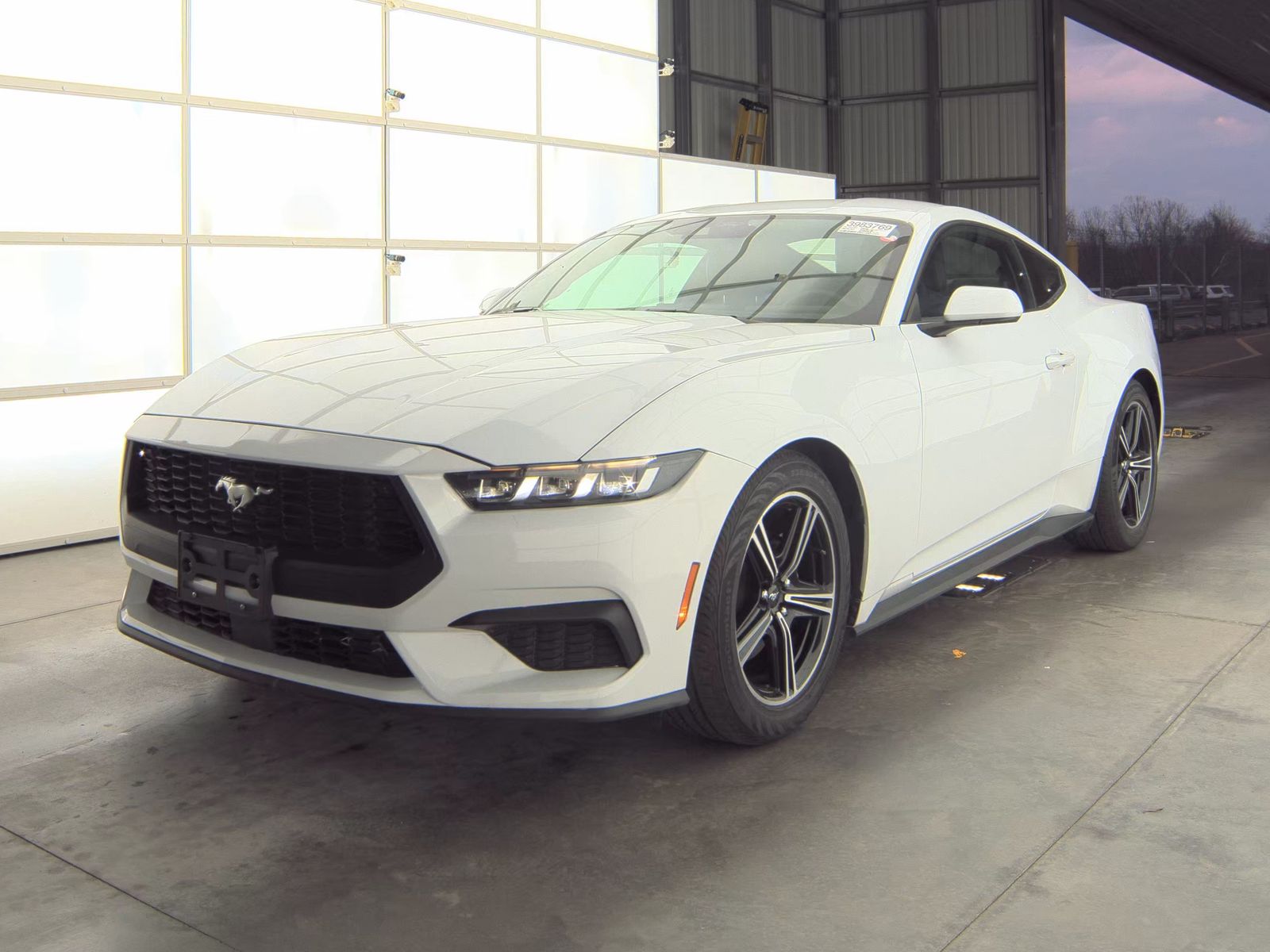 2024 Ford Mustang EcoBoost's photo