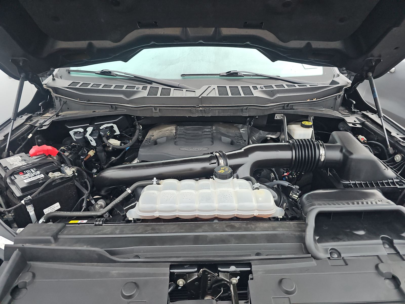 2023 Ford F-150 XLT RWD