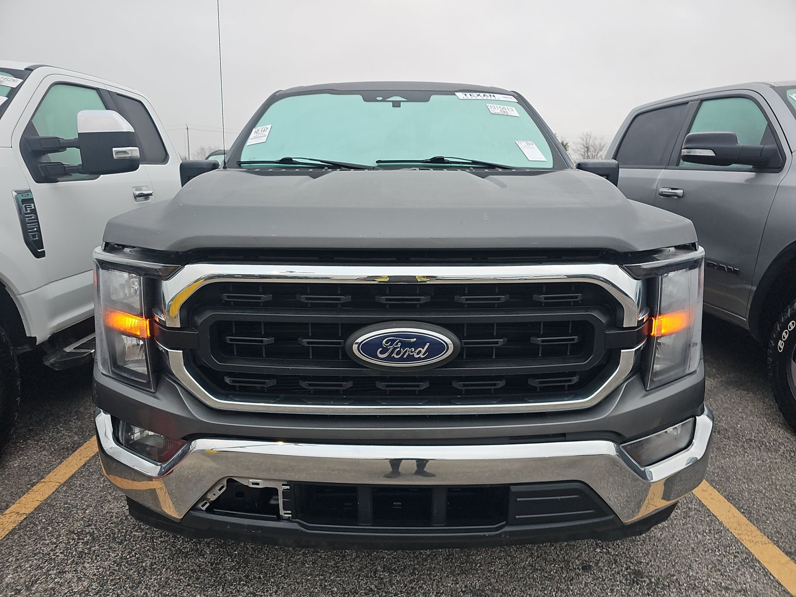 2023 Ford F-150 XLT RWD